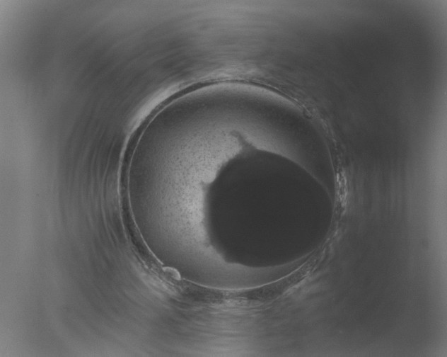 X0000077390196200610272021