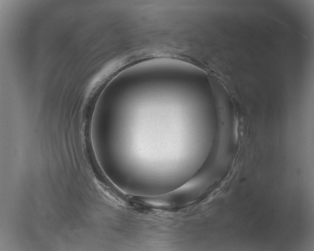 X0000077390197200610272021