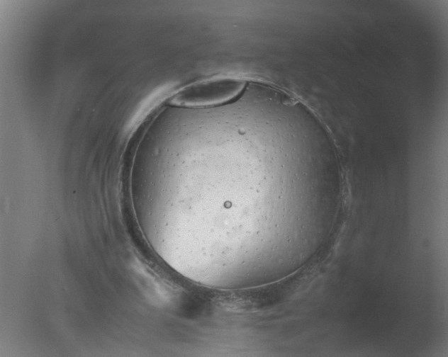 X0000077390199200610272021