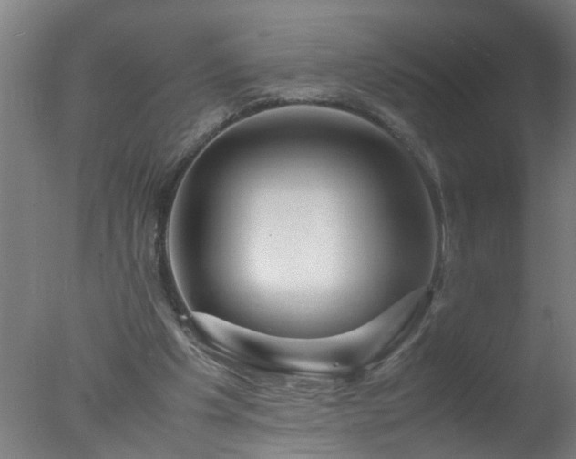 X0000077390201200610272021