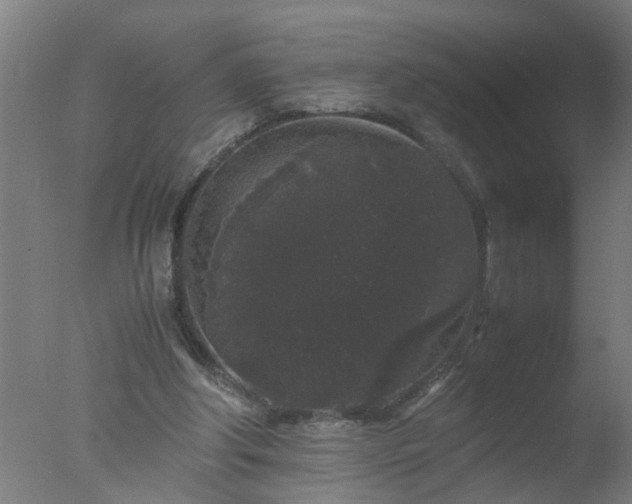 X0000077390202200610272021