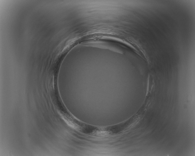 X0000077390205200610272021