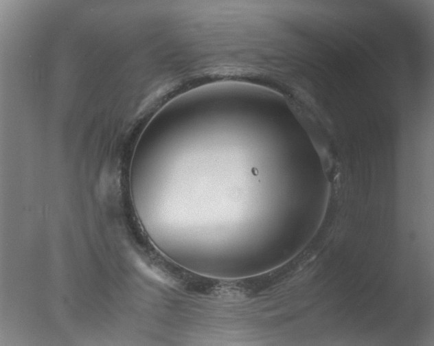 X0000077390207200610272021