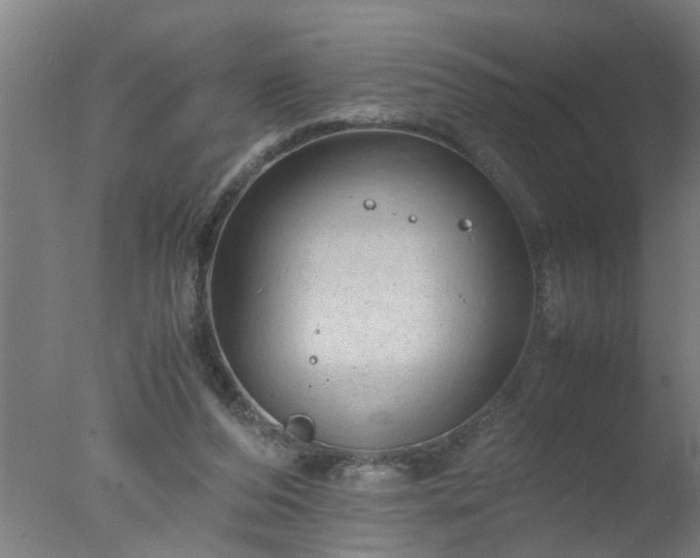 X0000077390208200610272021