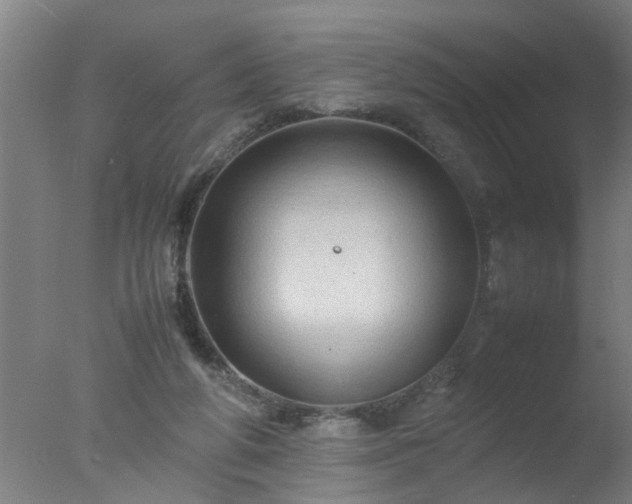 X0000077390210200610272021