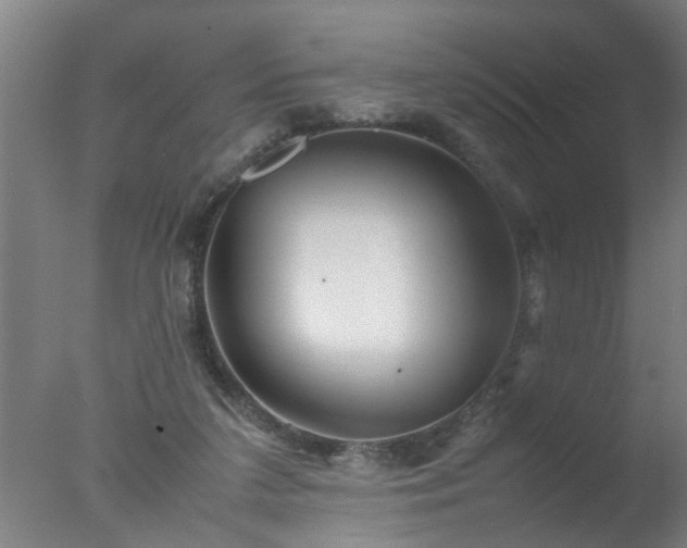 X0000077390211200610272021