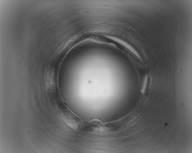 X0000077390212200610272021