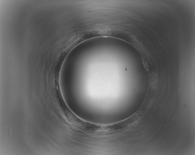 X0000077390213200610272021