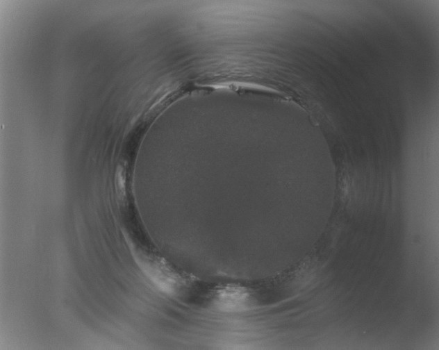 X0000077390214200610272021