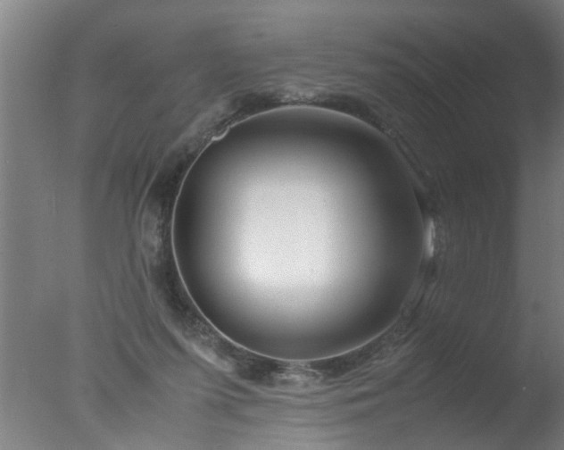 X0000077390215200610272021