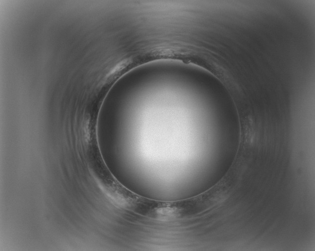 X0000077390216200610272021