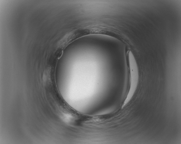 X0000077390217200610272021