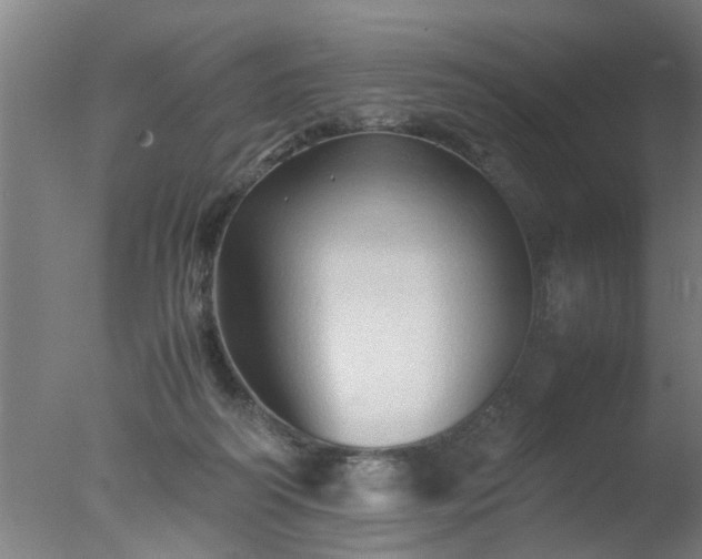 X0000077390218200610272021