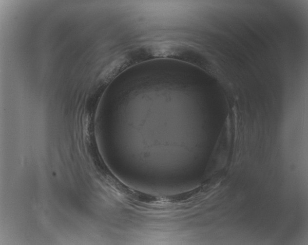 X0000077390219200610272021