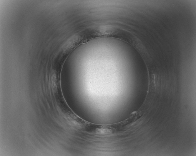 X0000077390220200610272021