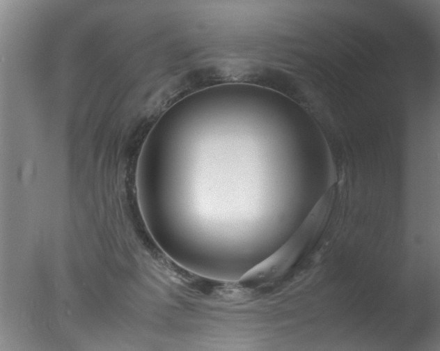 X0000077390221200610272021