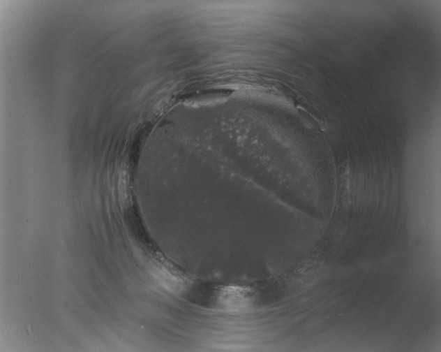 X0000077390222200610272021