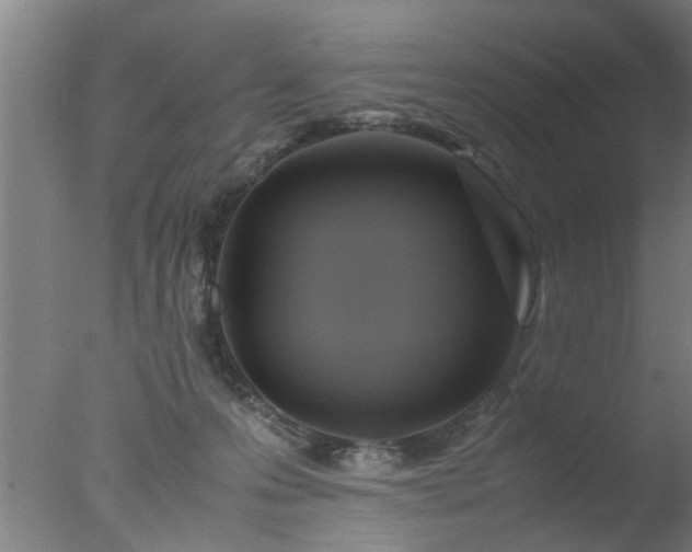 X0000077390223200610272021