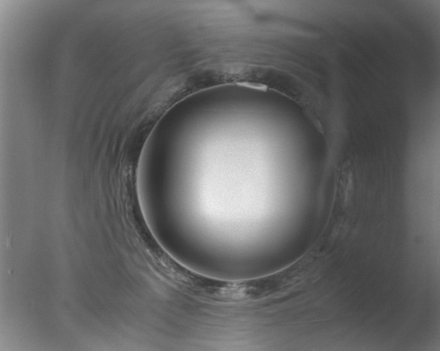 X0000077390225200610272021