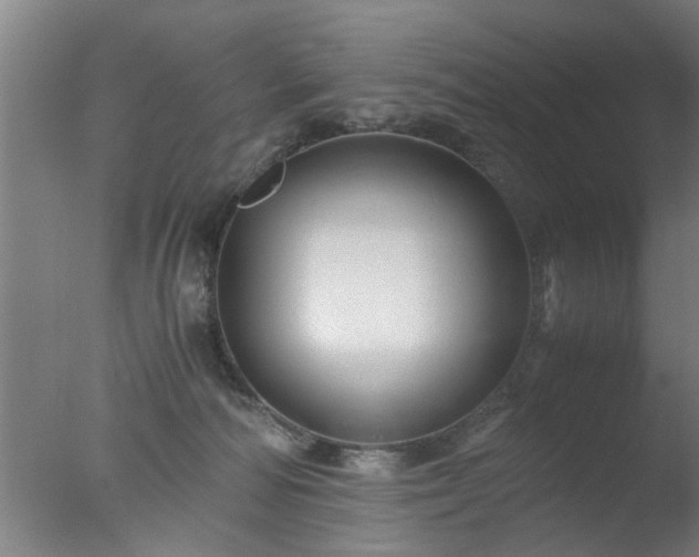 X0000077390226200610272021