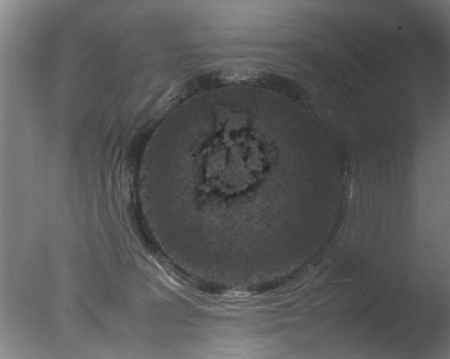 X0000077390227200610272021