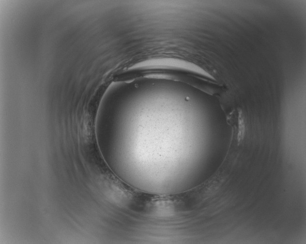 X0000077390228200610272021