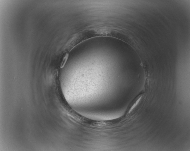 X0000077390229200610272021