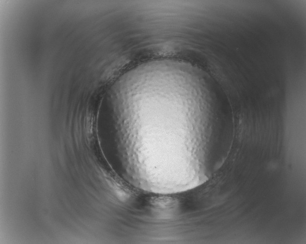 X0000077390230200610272021