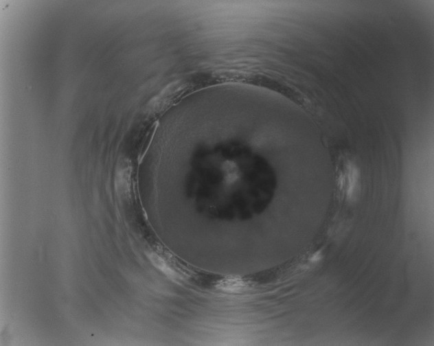 X0000077390231200610272021