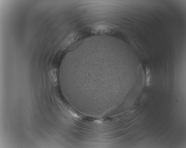 X0000077390232200610272021