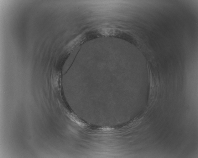 X0000077390233200610272021