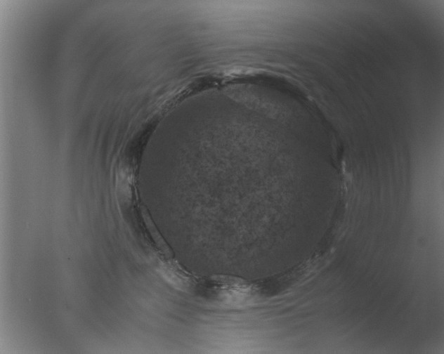 X0000077390235200610272021