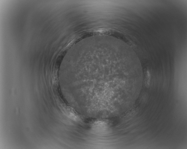 X0000077390236200610272021