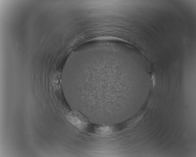 X0000077390237200610272021