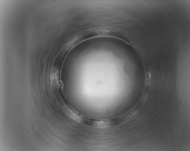 X0000077390238200610272021