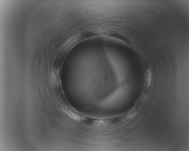 X0000077390239200610272021