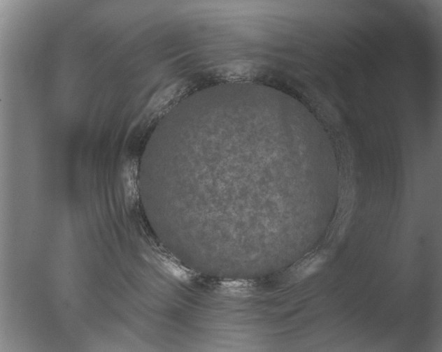 X0000077390240200610272021