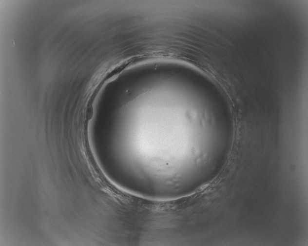 X0000077390241200610272020