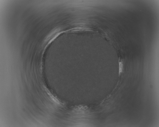 X0000077390243200610272020