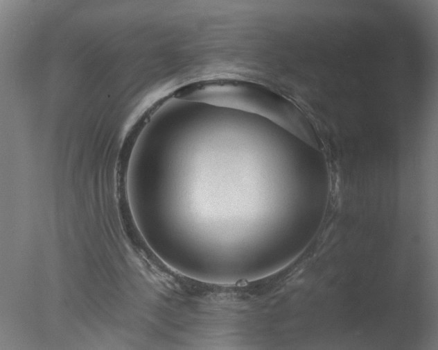 X0000077390244200610272020