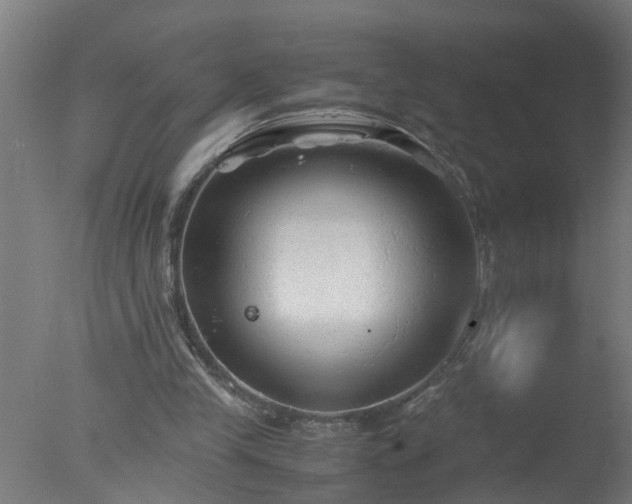 X0000077390245200610272020