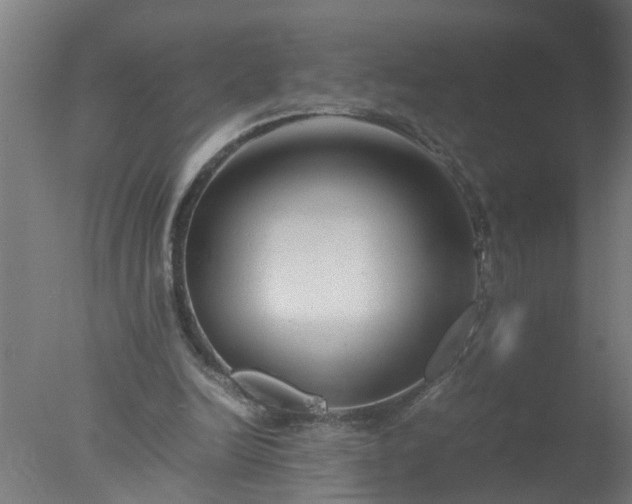 X0000077390246200610272020