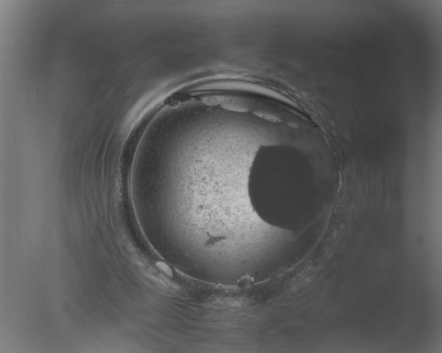 X0000077390247200610272020