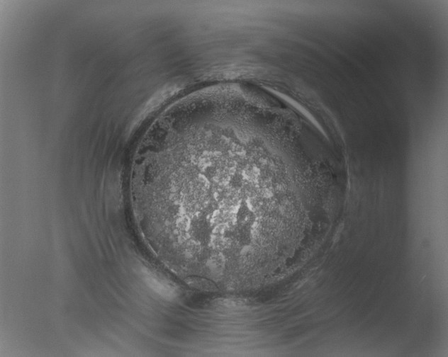 X0000077390250200610272020