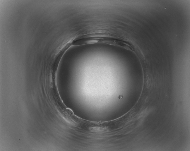 X0000077390251200610272020