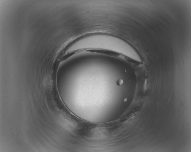 X0000077390252200610272020