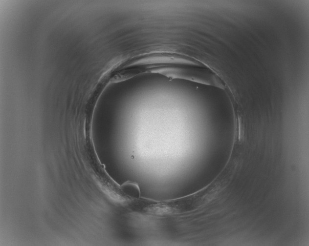 X0000077390253200610272020