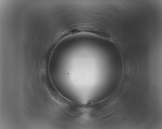 X0000077390255200610272020