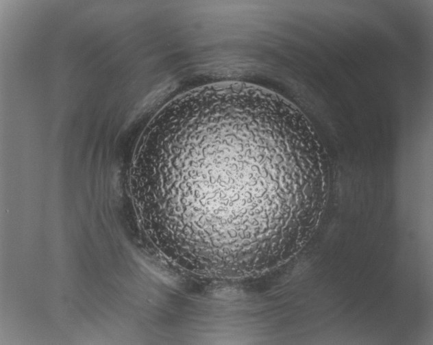 X0000077390258200610272020