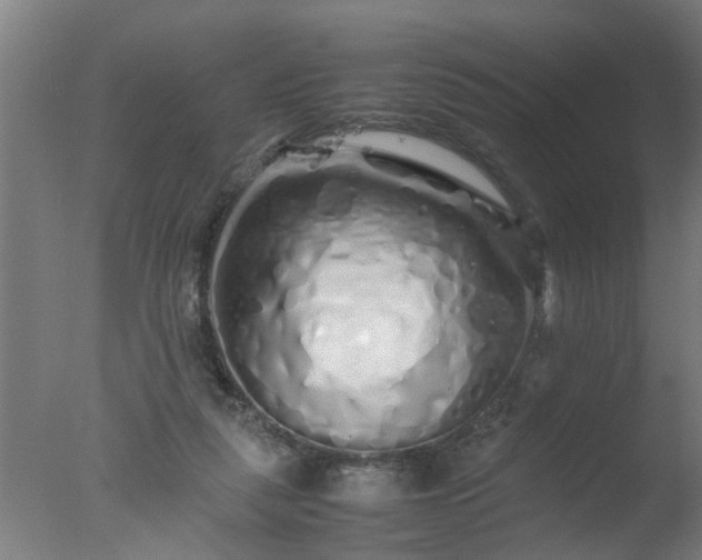 X0000077390259200610272020